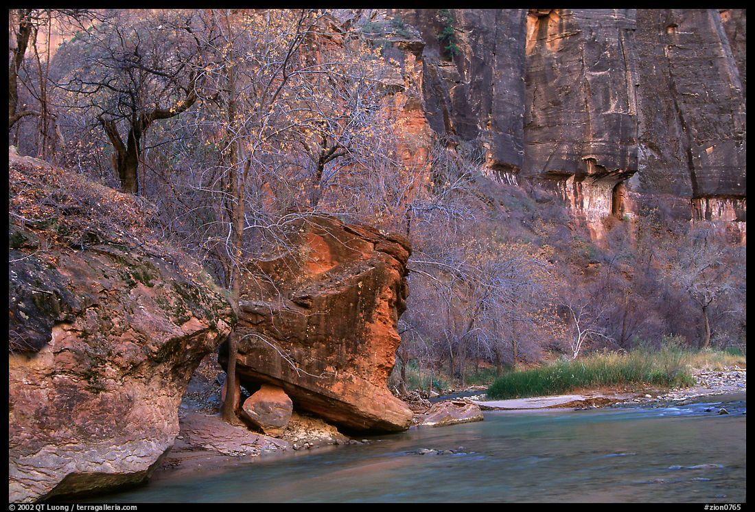 Virgin river at  entrance of the Narrows. Zion National Park, Utah, USA.