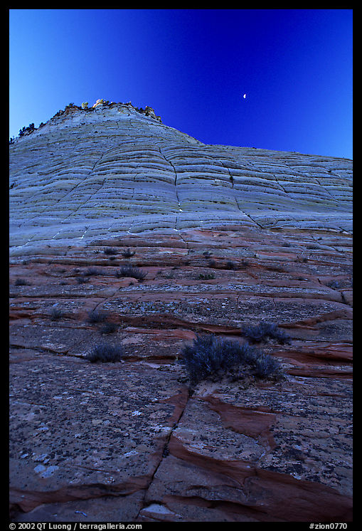 Checkerboard Mesa seen from base, Zion Plateau. Zion National Park, Utah, USA.