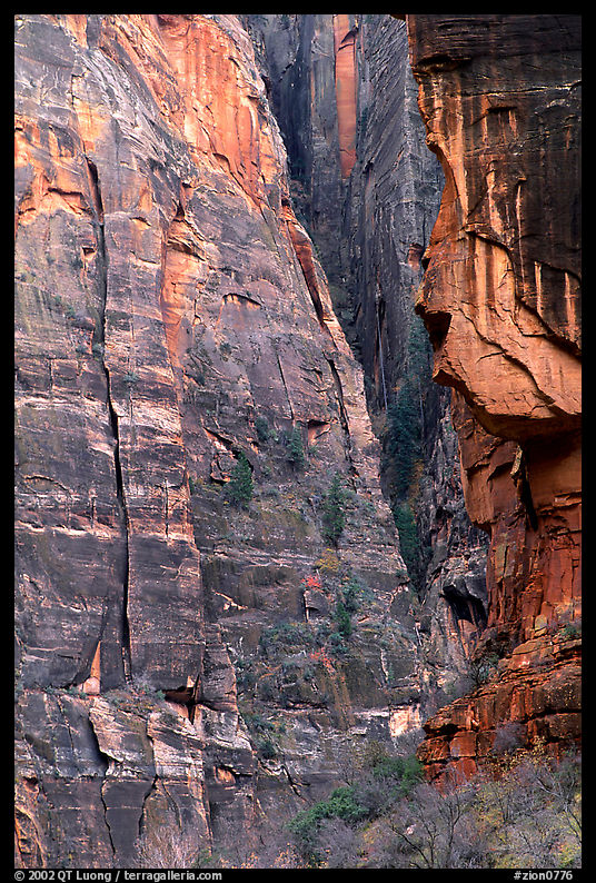 Canyon walls near Angel's landing. Zion National Park