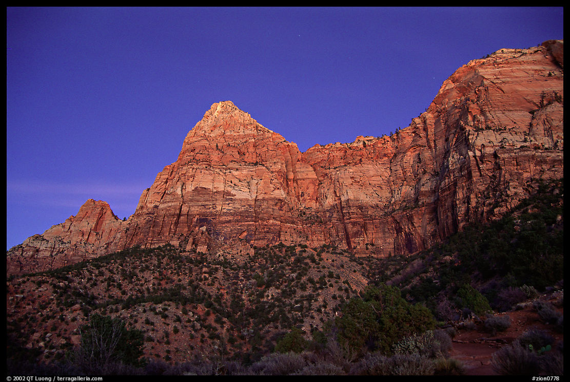 Watchman, sunset. Zion National Park, Utah, USA.