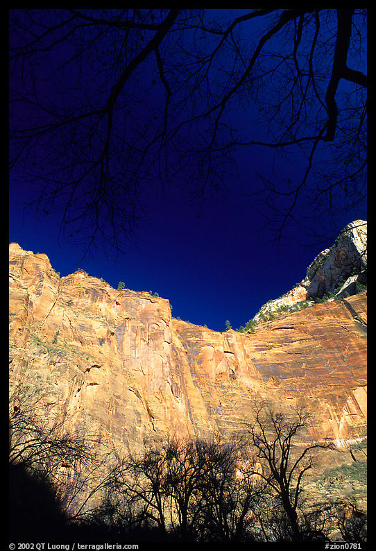Temple of Sinawava. Zion National Park, Utah, USA.