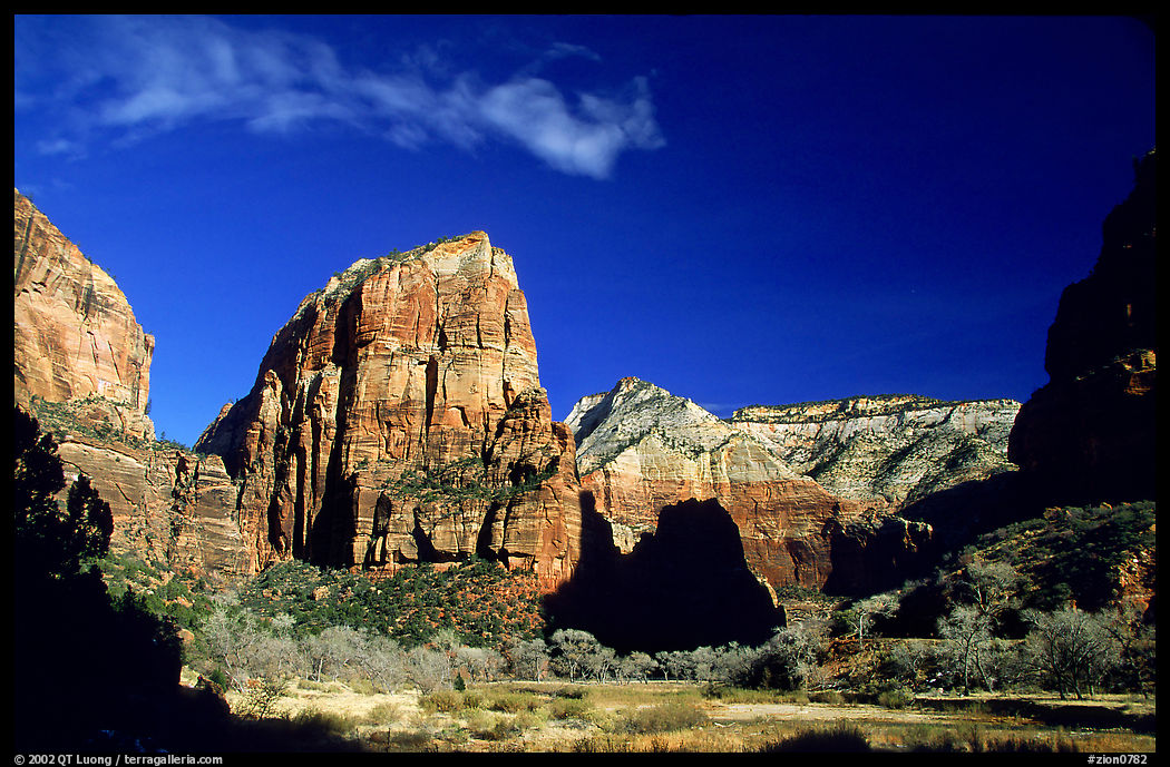 Angel Landing. Zion National Park, Utah, USA.