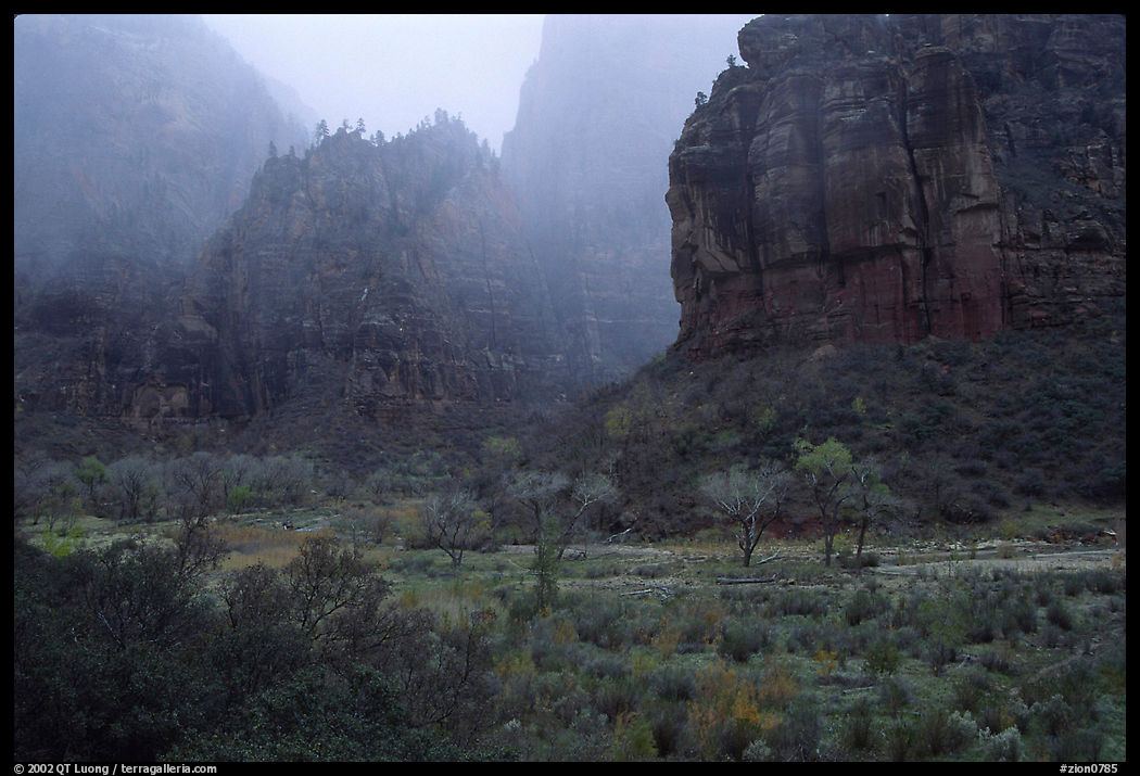 Rainy afternoon, Zion Canyon. Zion National Park, Utah, USA.