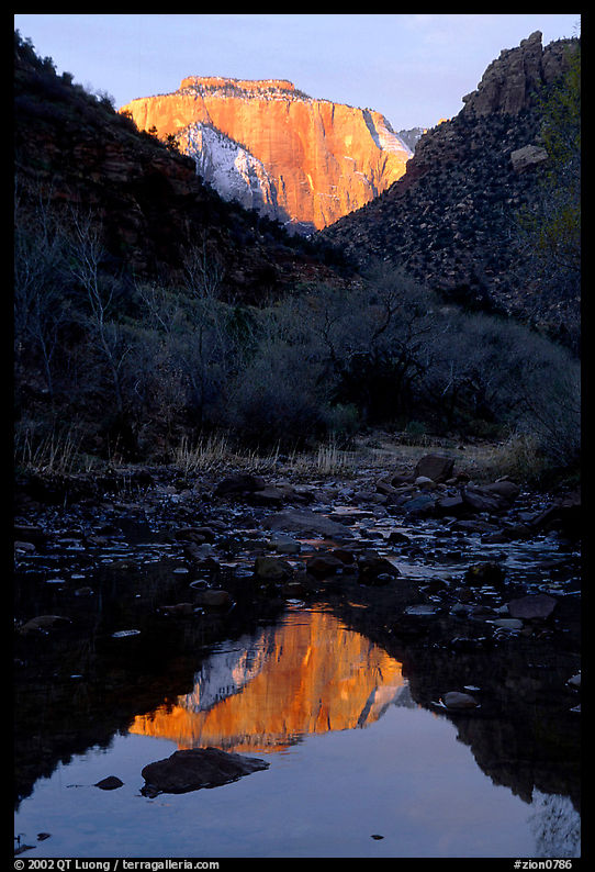 West temple reflected in Pine Creek, sunrise. Zion National Park