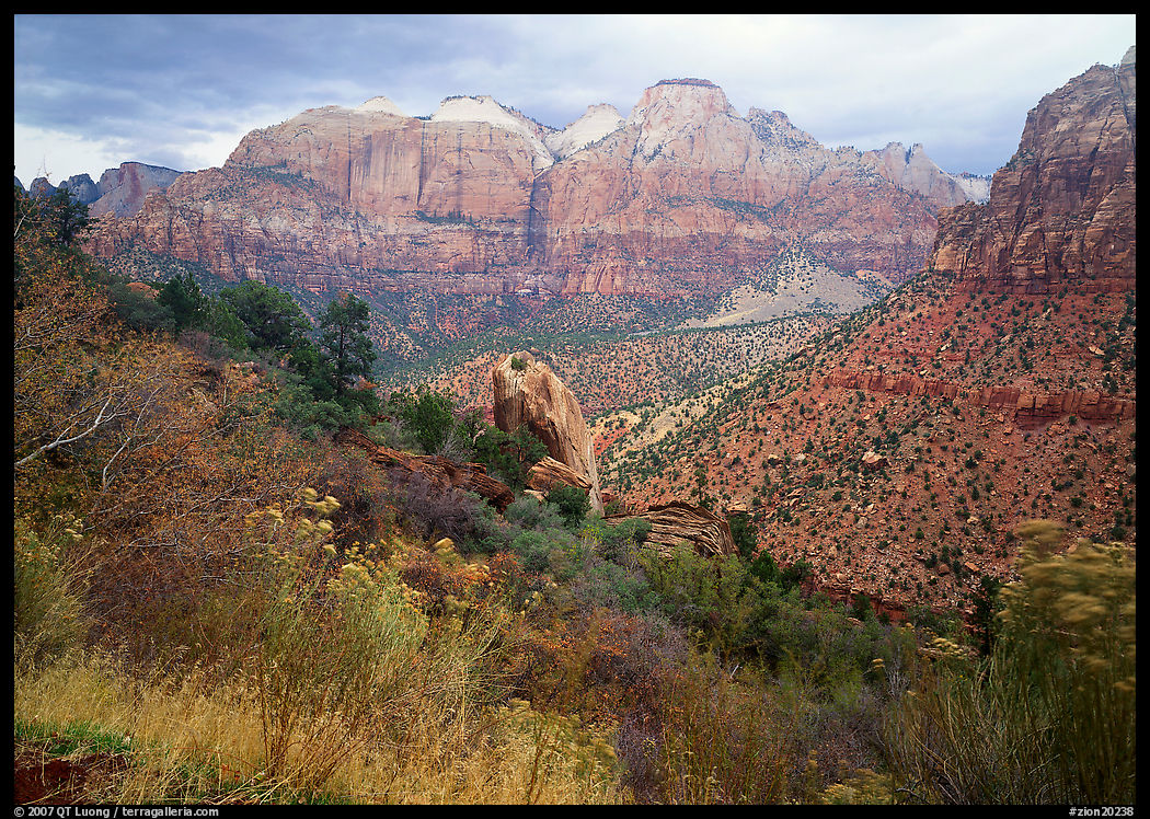 Towers of the Virgin in rainy weather. Zion National Park, Utah, USA.