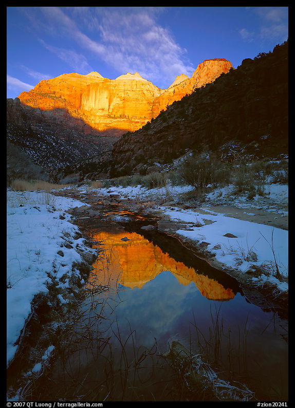 Pine Creek and Towers of  Virgin, sunrise. Zion National Park, Utah, USA.