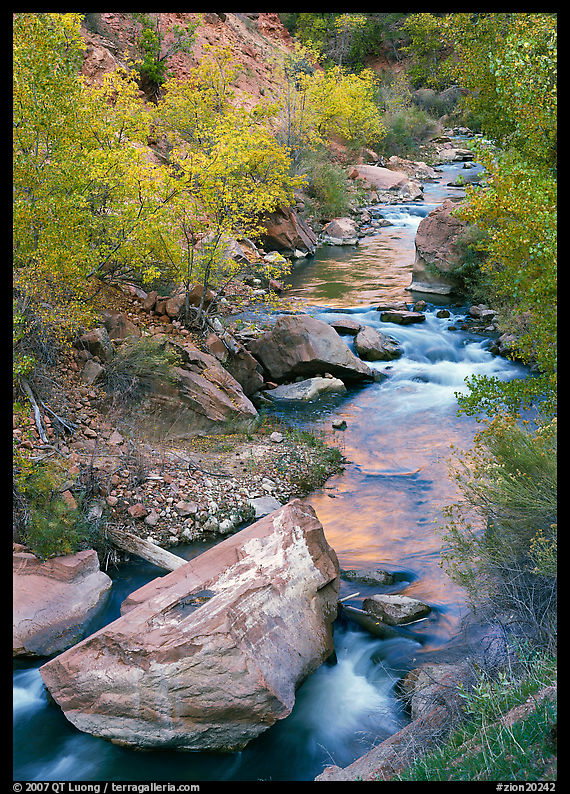 Boulders and Virgin River in  fall. Zion National Park, Utah, USA.