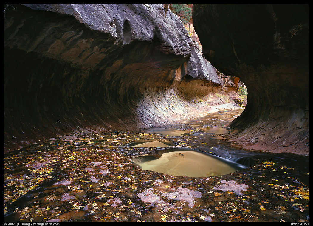 Narrow canyon carved in tunnel-like shape, the Subway. Zion National Park, Utah, USA.