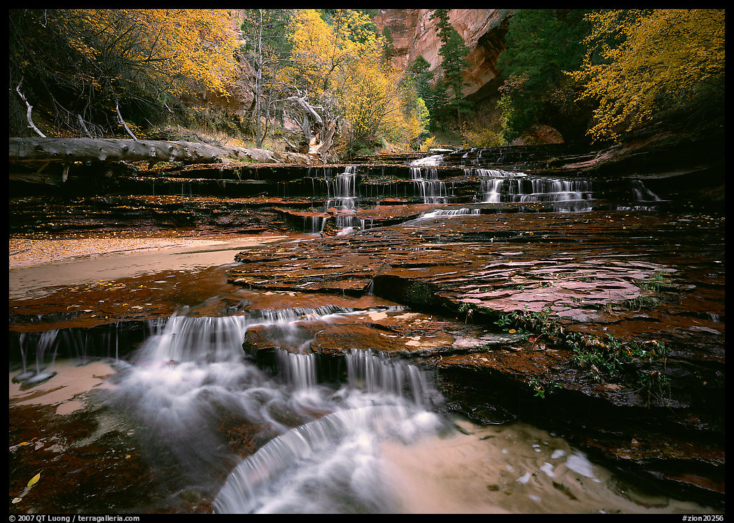North Creek flowing over red travertine terraces in autumn. Zion National Park, Utah, USA.