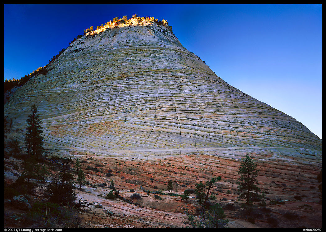Checkerboard Mesa with top illuminated by sunrise. Zion National Park, Utah, USA.