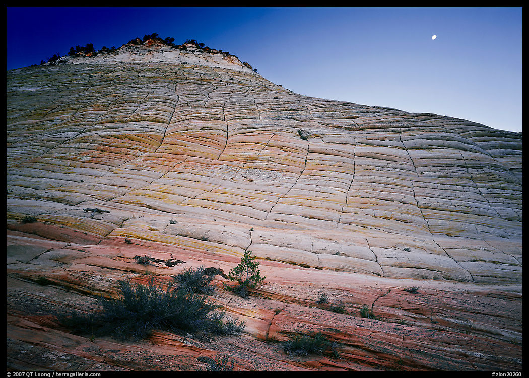Checkerboard Mesa seen from base and moon. Zion National Park, Utah, USA.