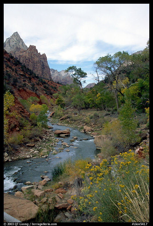 Virgin River in Zion Canyon, afternoon. Zion National Park, Utah, USA.