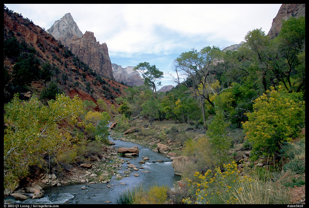 Zion Canyon and Virgin River in the fall. Zion National Park, Utah, USA.