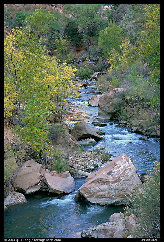 Virgin river, boulders, and trees. Zion National Park, Utah, USA.