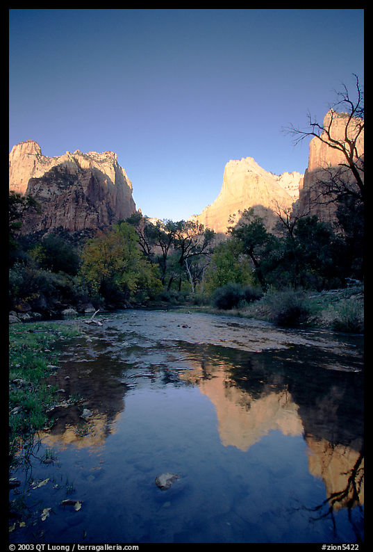 Court of  Patriarchs reflected in the Virgin River, sunrise. Zion National Park, Utah, USA.
