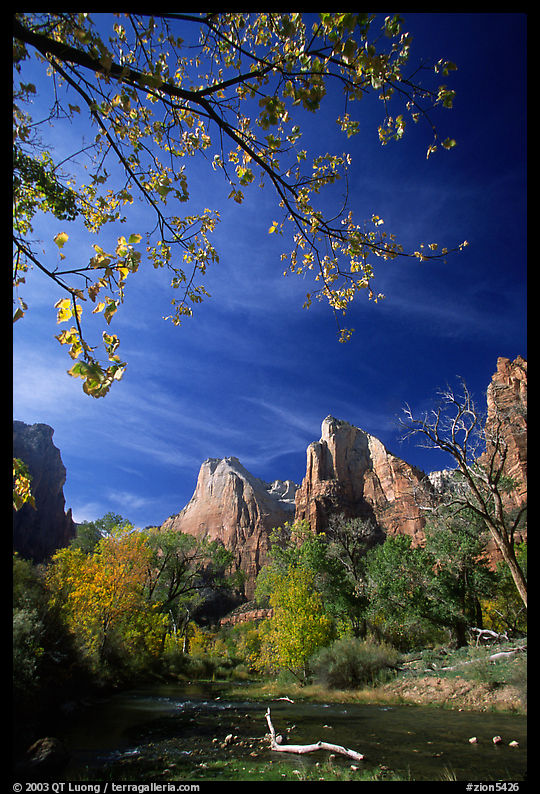 Court of the Patriarchs and Virgin River, mid-day. Zion National Park, Utah, USA.
