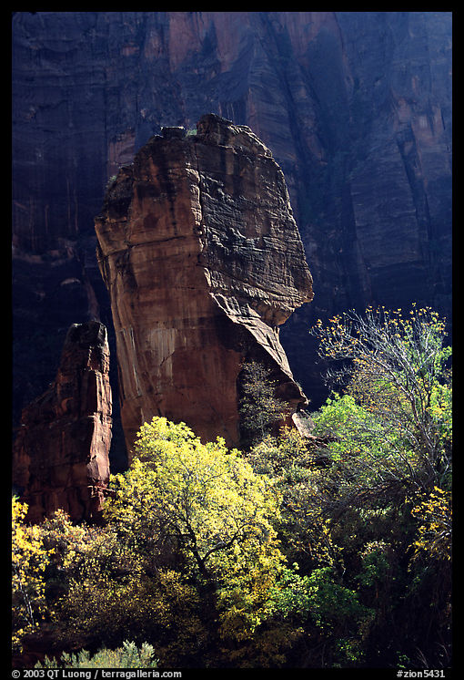The Pulpit, temple of Sinawava, late morning. Zion National Park, Utah, USA.