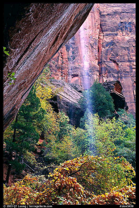 Cliff and waterfall, near  first Emerald Pool. Zion National Park, Utah, USA.