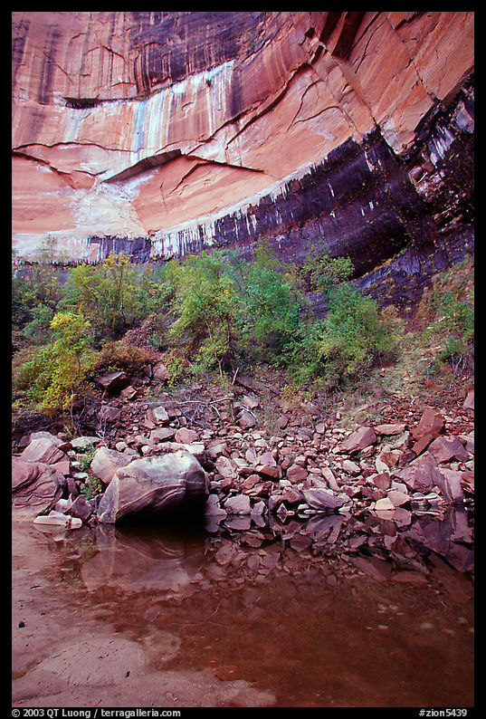 Multi-colored rock walls above the Third Emerald Pool. Zion National Park