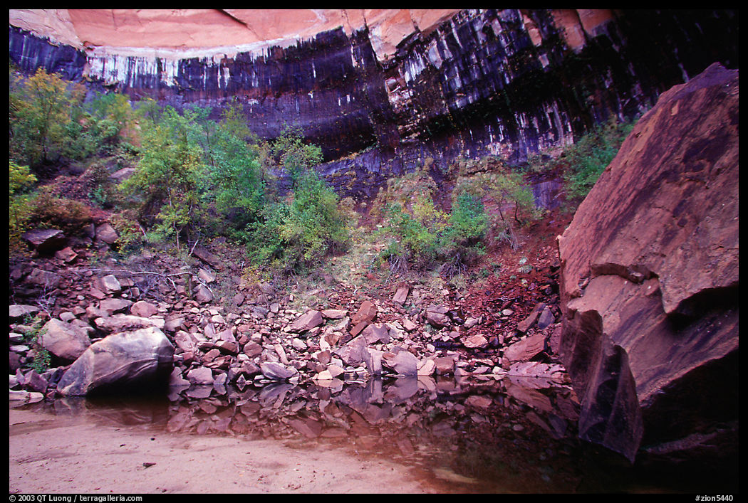 Boulder and cliff above  Third Emerald Pool. Zion National Park, Utah, USA.