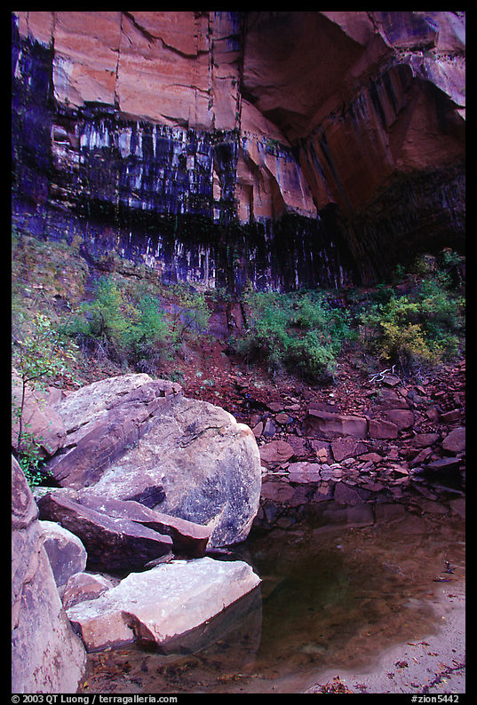 Boulders in  Third Emerald Pool. Zion National Park, Utah, USA.