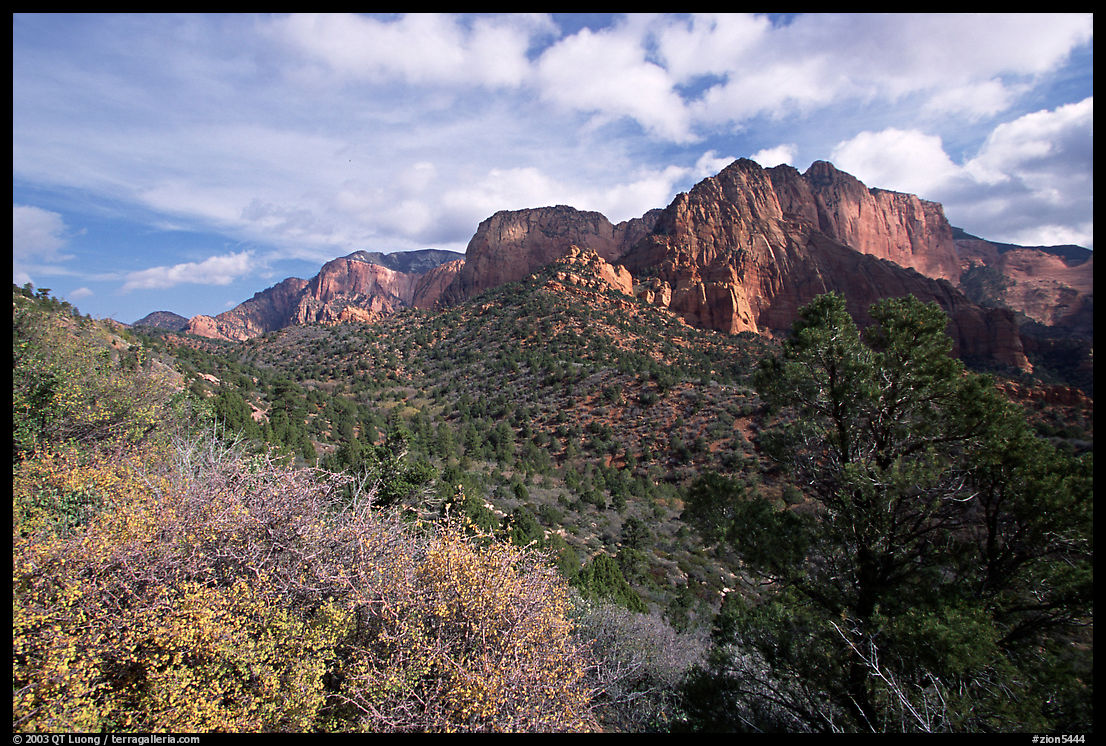Finger canyons of the Kolob. Zion National Park, Utah, USA.