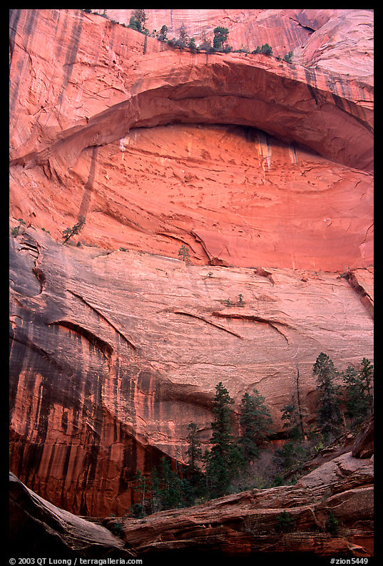 Double Arch Alcove, Middle Fork of Taylor Creek. Zion National Park, Utah, USA.