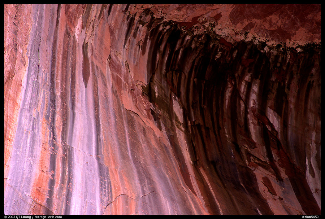 Striated rock in  base alcove of  Double Arch Alcove, Middle Fork of Taylor Creek. Zion National Park