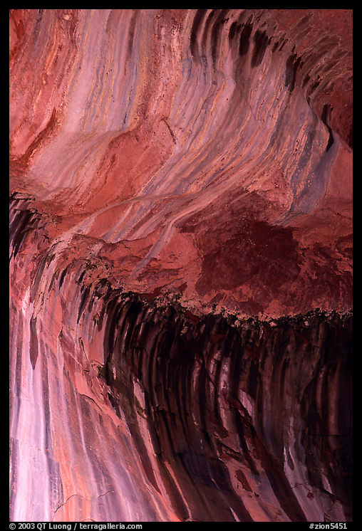 Striations in alcove, Double Arch Alcove, Middle Fork of Taylor Creek. Zion National Park