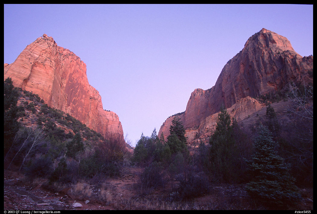 Middle Fork of Taylor Creek, one of  Finger canyons, sunset. Zion National Park, Utah, USA.