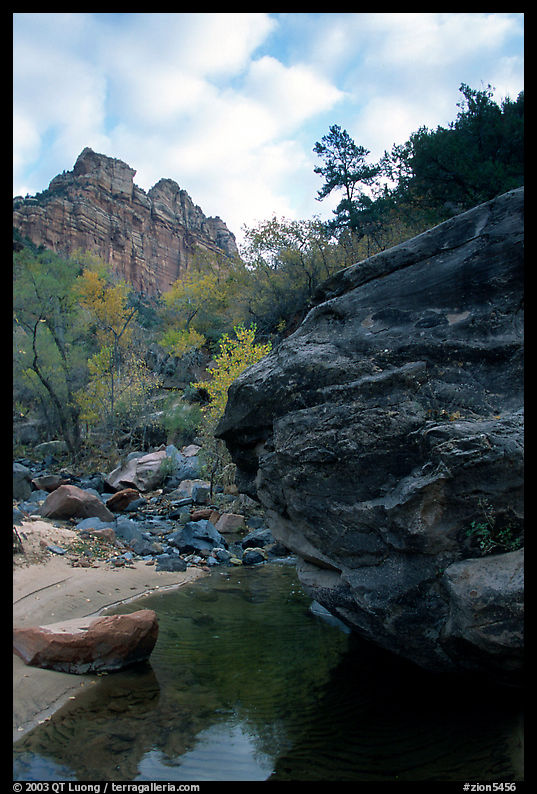 Left Fork of the North Creek. Zion National Park, Utah, USA.