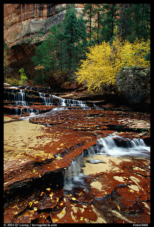 Cascades over terraces, Left Fork of the North Creek. Zion National Park, Utah, USA.