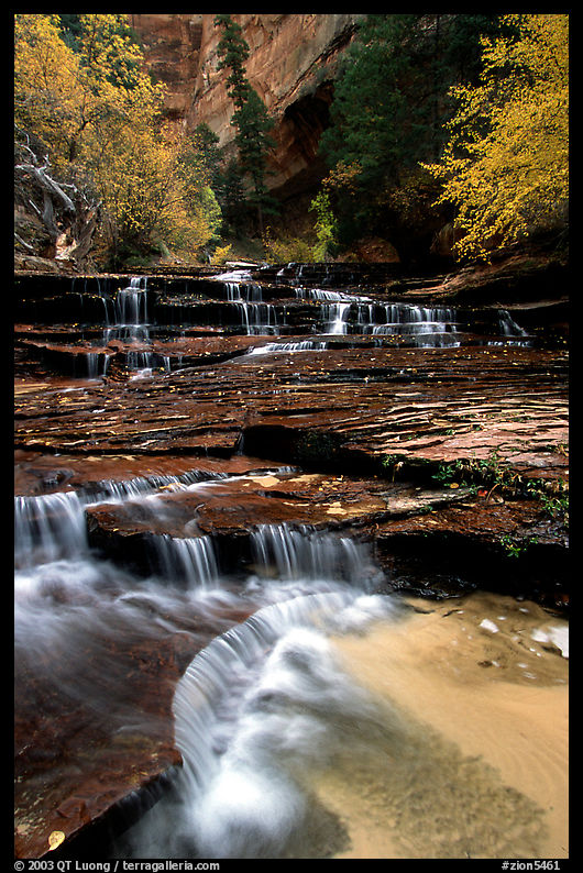 Stream flowing over staircase of many thin rock layers, Left Fork of the North Creek. Zion National Park, Utah, USA.