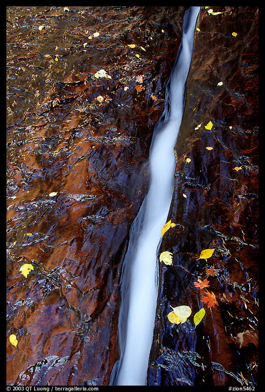 Six inch wide channel where the water of the Left Fork of the North Creek runs. Zion National Park