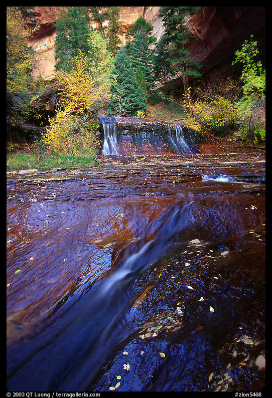 Cascade over smoothly sculptured rock, Left Fork of the  North Creek. Zion National Park, Utah, USA.