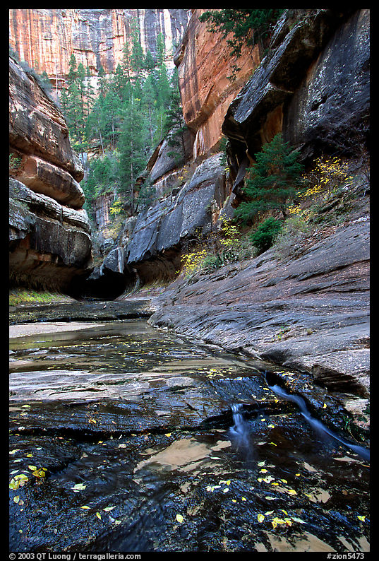 Entrance of the Subway, Left Fork of the North Creek. Zion National Park, Utah, USA.