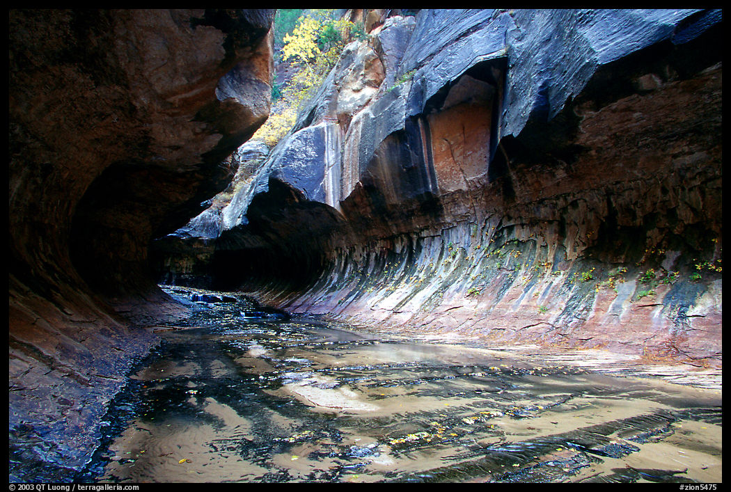 The Subway, a tunnel shaped like a round tube, Left Fork of the North Creek. Zion National Park, Utah, USA.