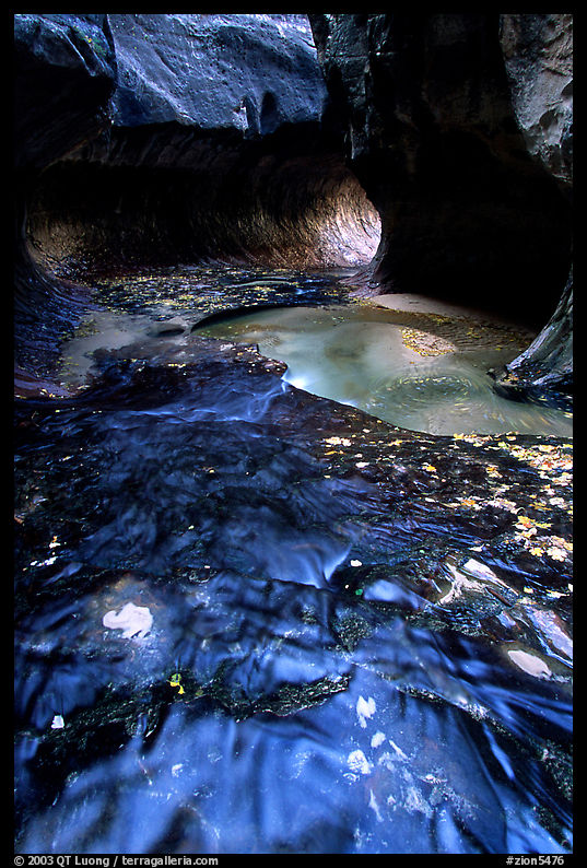 Water flowing in pools in the Subway, Left Fork of the North Creek. Zion National Park, Utah, USA.