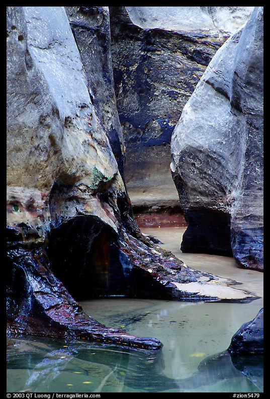 Pools and Rock walls sculptured by fast flowing water,  Subway, Left Fork of  the North Creek. Zion National Park, Utah, USA.