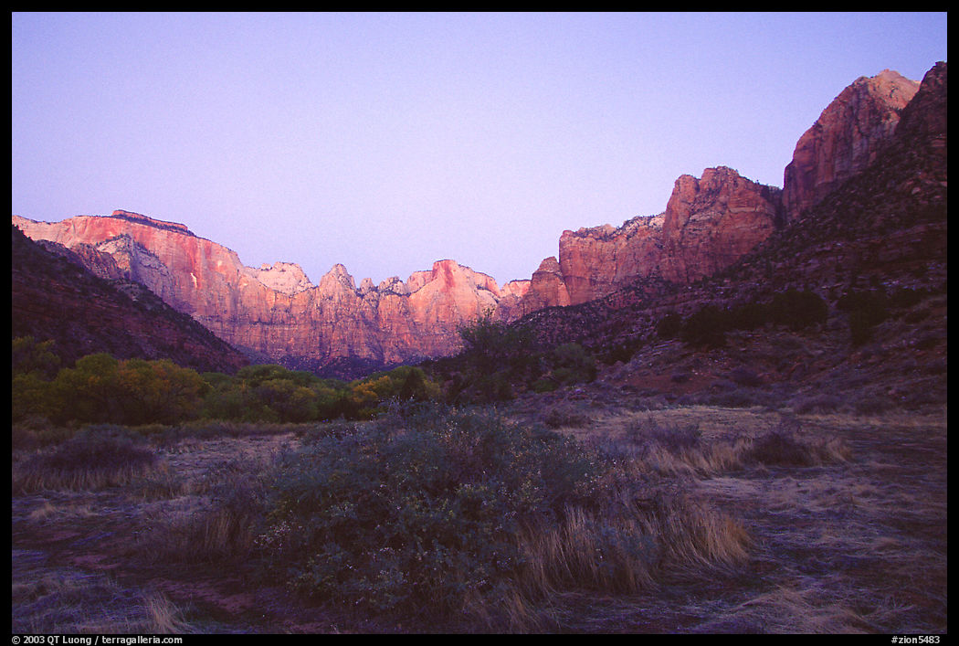Towers of the Virgin from behind  Museum, dawn. Zion National Park, Utah, USA.