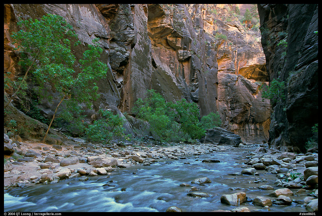 Virgin River flowing over stones in the Narrows. Zion National Park, Utah, USA.
