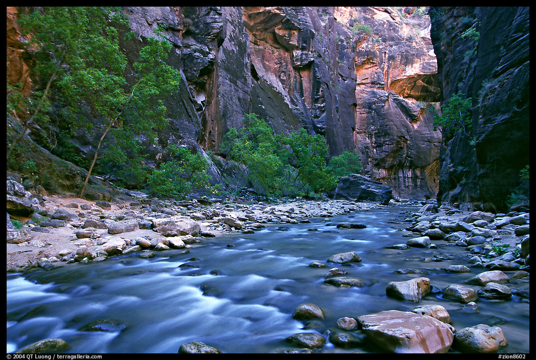 Virgin River in  Narrows. Zion National Park, Utah, USA.