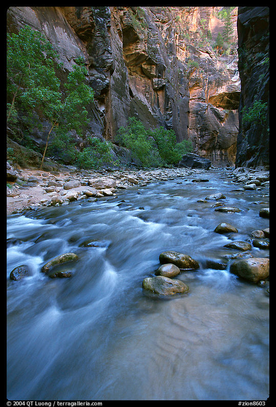 Virgin River and steep canyon walls in the Narrows. Zion National Park, Utah, USA.