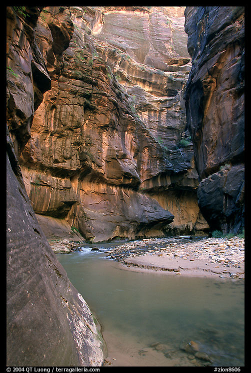 Bend of  Virgin Rivers in the Narrows. Zion National Park, Utah, USA.