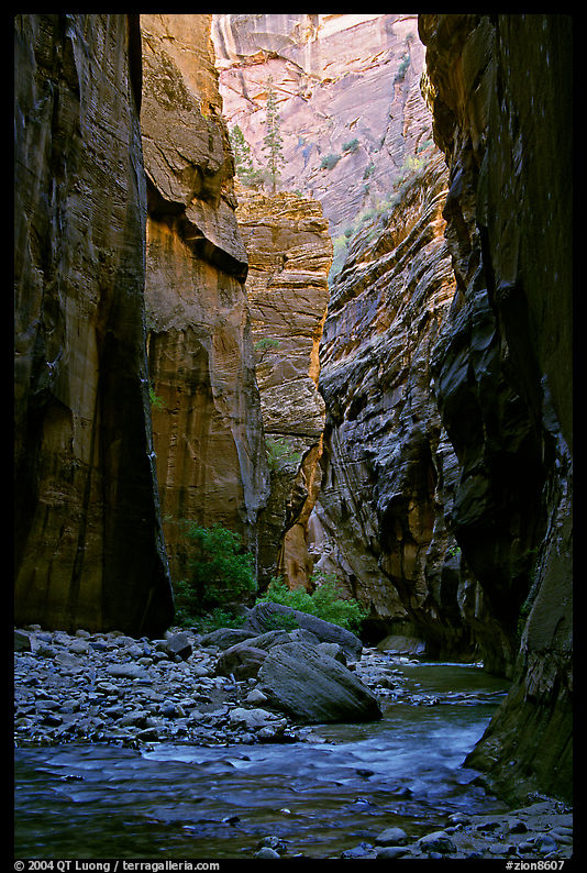 Tall walls in the Narrows. Zion National Park, Utah, USA.