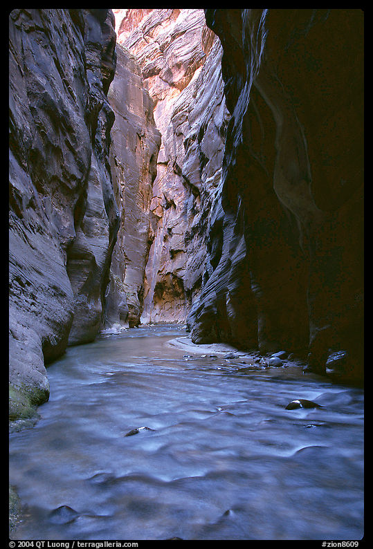 Virgin River flowing between  rock walls of Wall Street, the Narrows. Zion National Park, Utah, USA.
