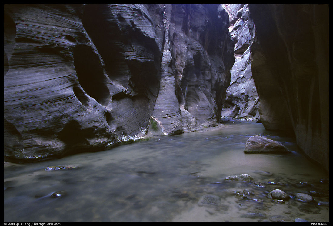 Dark canyon at Wall Street, the Narrows. Zion National Park, Utah, USA.