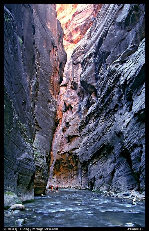 Hikers dwarfed by the walls of Wall Street, the Narrows. Zion National Park, Utah, USA.