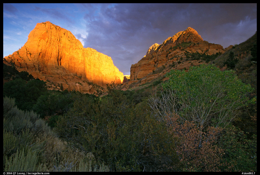 Kolob Canyons at sunset. Zion National Park, Utah, USA.