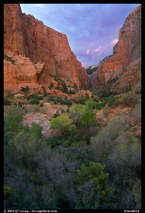 South Fork of Kolob Canyons at sunset. Zion National Park, Utah, USA.